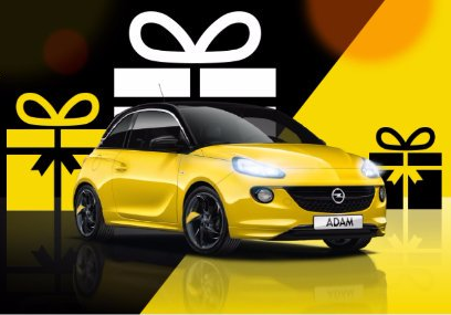 Opel božičnica | Foto: 