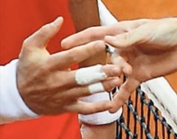 Na fotografiji je zelo očitno, da je Radek Stepanek srbskemu igralcu ponudil srednji prst. | Foto: YouTube