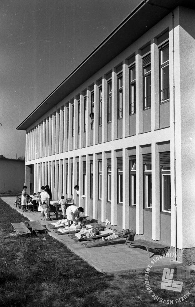 Debeli rtič, 1963.
 | Foto: Svetozar Guček, hrani: MNZS