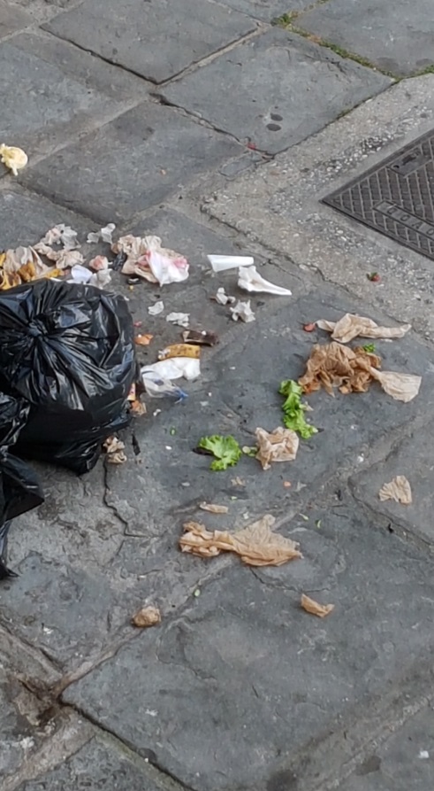 Piran smeti | Foto: bralka