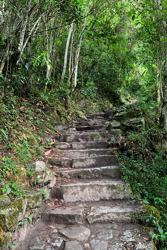 Tisočero izklesanih stopnic še pripomore k čaru dostopa do Machu Picchuja.  | Foto: Rajko Gerič