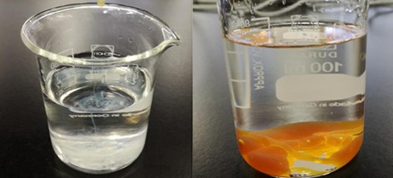 Levo: Liposomski vitamin C Ekolife natura v vodi                     Desno: Predliposomski izdelek v vodi | Foto: 