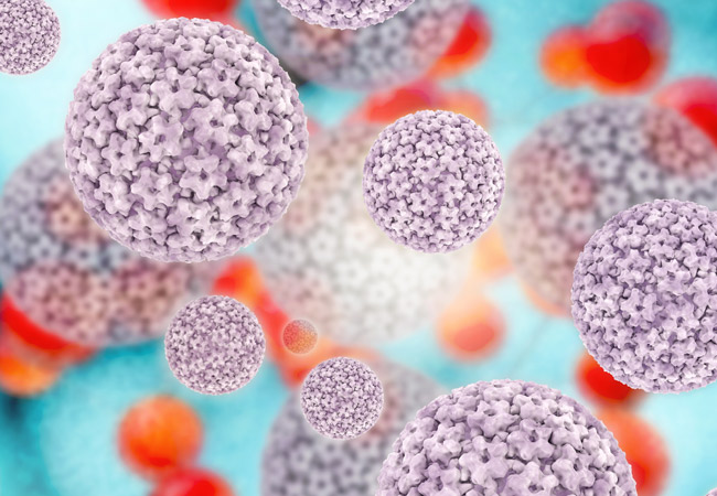 "Humani papiloma virus (HPV) spada v veliko družino DNA-virusov, ki prizadenejo epitelij kože in sluznico. Okužbe lahko potekajo brez simptomov in povzročajo benigne lezije (kožne bradavice, plantarne bradavice, genitalne bradavice in papilome grl). V najslabših primerih lahko povzročijo različne vrste predrakavih sprememb in celo raka." | Foto: Getty Images
