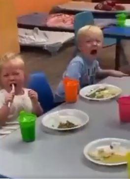 Otroci se niso prav nič zabavali, ampak od strahu neutolažljivo jokali.  | Foto: posnetek zaslona Twitter/christoq