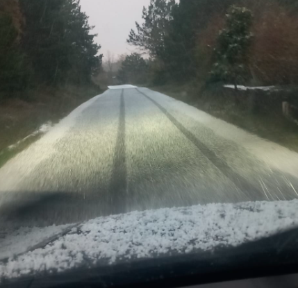 vreme, babje pšeno | Foto: Damijan Žnideršič / FB