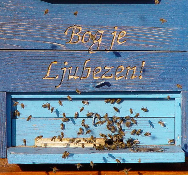 Sestre na samostanskem vrtu skrbijo tudi za čebele.  | Foto: Osebni arhiv