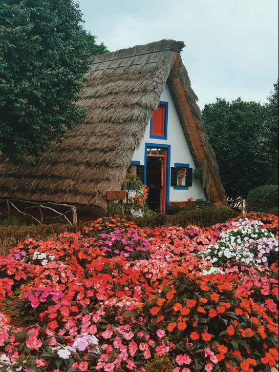 arhitekt svetuje, gradnja, hiša | Foto: Hausbau Slovenija