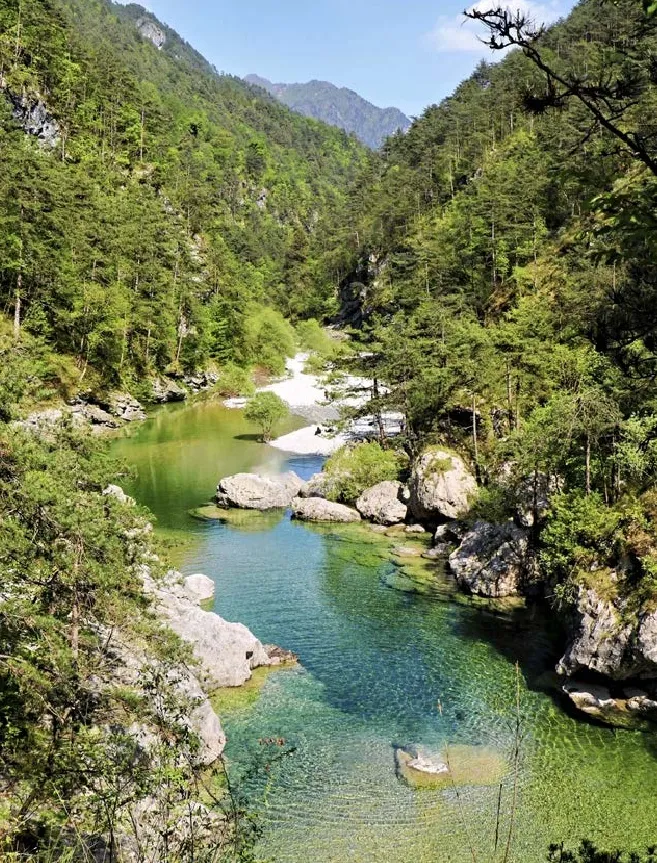 V spodnjem delu doline Canale di Meduna potoka Meduna | Foto: Olga Kolenc/Planinski vestnik