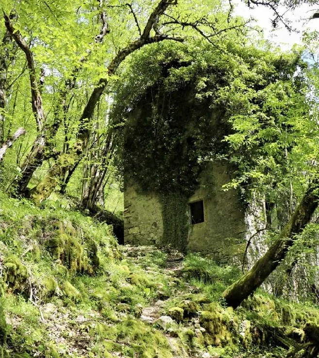 Ruševine zapuščene vasi Frassaneit di Sopra | Foto: Olga Kolenc/Planinski vestnik