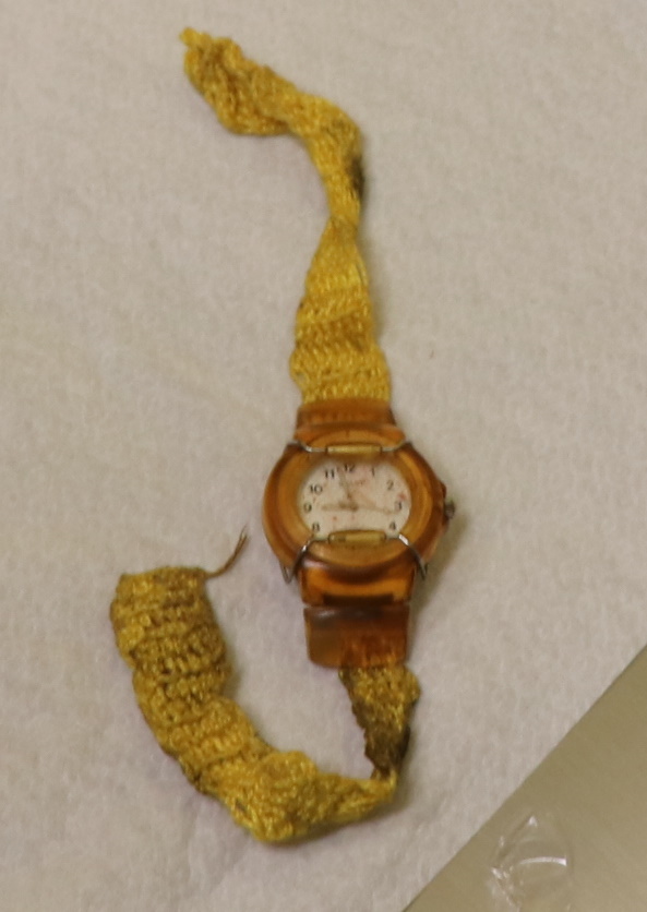 ženska, vlak, trčenje, smrt, identiteta, iskalna akcija | Foto: PU Ljubljana