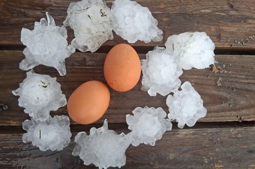 Toča v Žalcu je bila velika kot jajce. 2. avgust 2025.  | Foto: Patricija Pavlovič/Neurje.si/Facebook