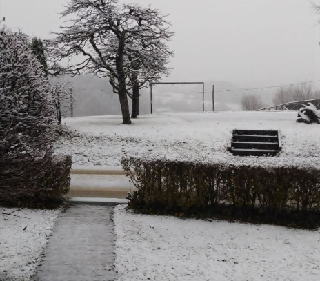 Sneg, Novo mesto | Foto: Bralec