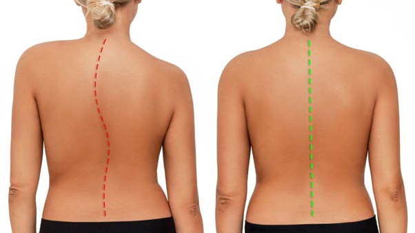 medicofit | Foto: Medicofit