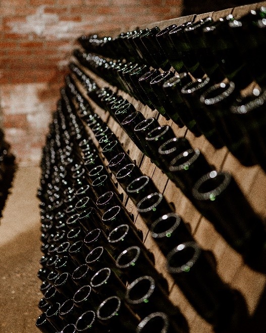Radgonska penina, vinogradništvo | Foto: Radgonske gorice