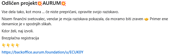 V Aurum so vabili tudi Slovence. | Foto: Posnetek  zaslona