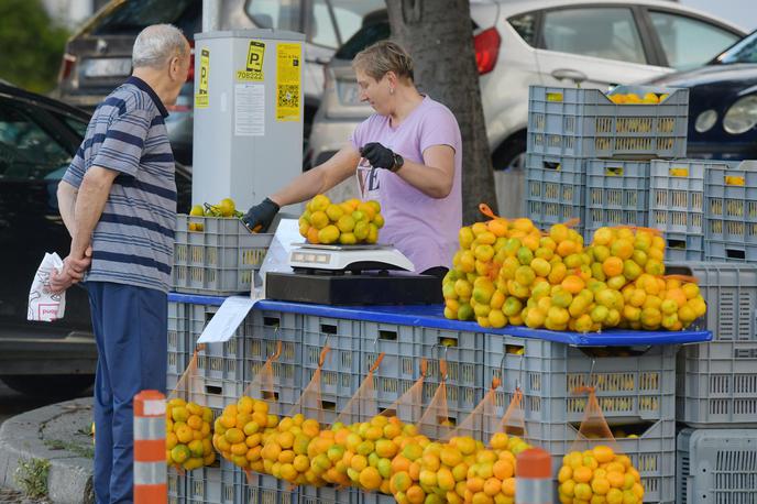 Mandarina. Prodaja mandarin. | Foto Hrvoje Jelavic/PIXSELL