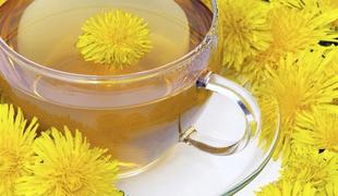 Minuta za zdravje: Regratov čaj proti celulitu