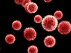 Virus, bolezen