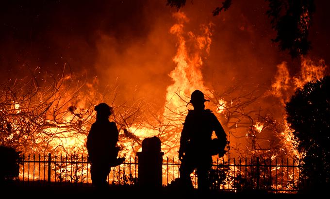 Požar ZDA | Foto: Reuters