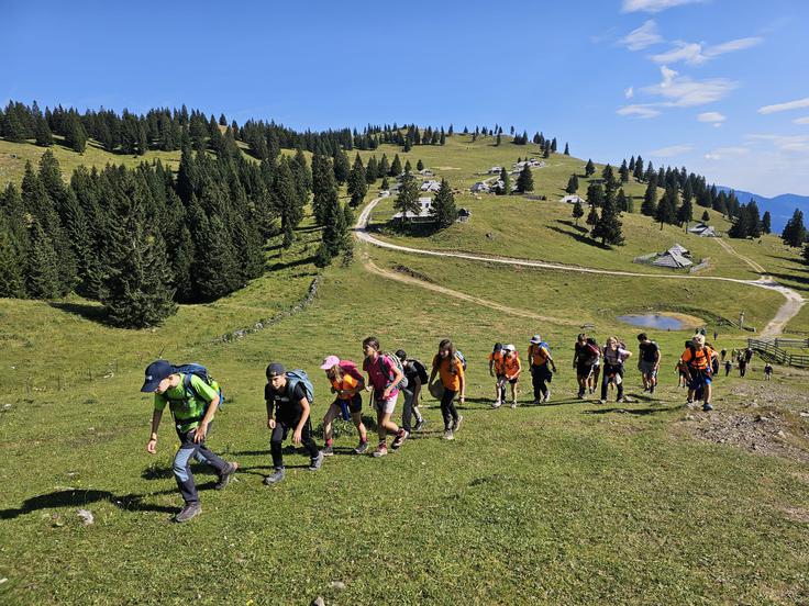 Na Veliki planini. | Foto: Manca Ogrin