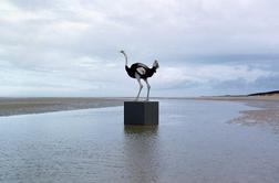 Slovenski umetniki v italijanskem razstavišču Villa Manin