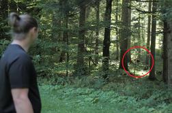 Tako je videti srečanje z medvedom v slovenskem gozdu #video