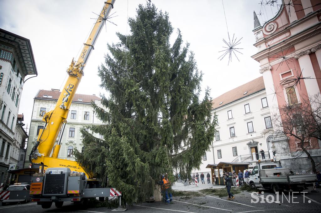 Novoletna smreka v Ljubljani Prešernov trg