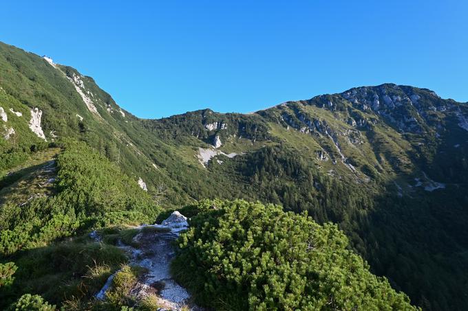 Razgledna točka med Kriško planino in planino Koren | Foto: Matej Podgoršek