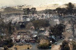 Večino pogrešanih v tasmanskih požarih že našli (FOTO)