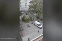 Brutalen posnetek iz Ljubljane: kolesar se je za las izognil padajočemu drevesu #video