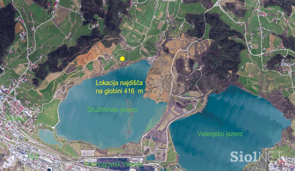 fosili, najdba, Velenje