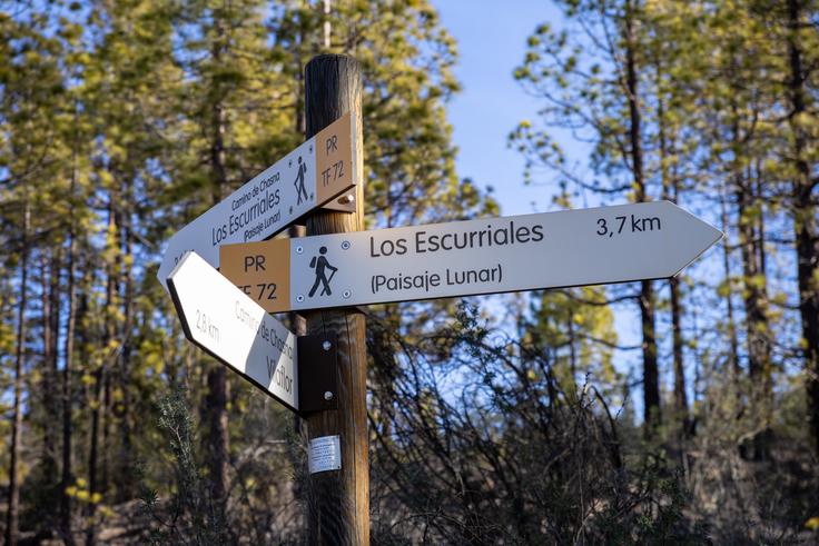 Po uri vzpona pridemo na razpotje, kjer se začne krožni del ture. Navzgor nadaljujemo po levi poti, vrnili se bomo po desni. | Foto: Matej Podgoršek