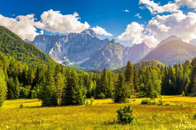 Slovenija | Ste skrivnostnega popotnika videli tudi v vašem kraju? | Foto Shutterstock