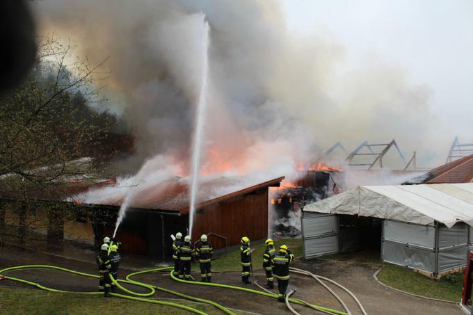 Gašenje požara blizu Lipnice | Foto: Stadtfeuerwehr Leibnitz