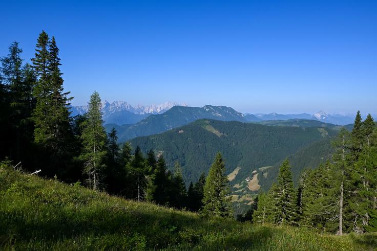 S sedla med Malo Peco in Peco se odpre pogled proti zahodu v smeri Olševe in Kamniško-Savinjskih Alp. | Foto: Matej Podgoršek