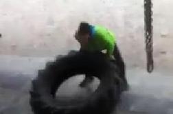 Svetovna prvaka premetavata gume (video)