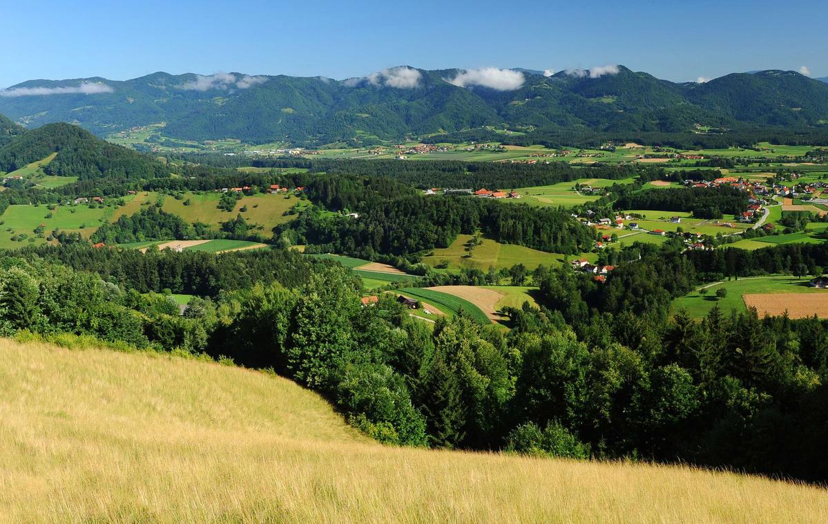 Dobrovlje Zelena trasnevrzala | Pogled na Dobrovlje, od koder se boste povzpeli na Čreto.  | Foto AMZS