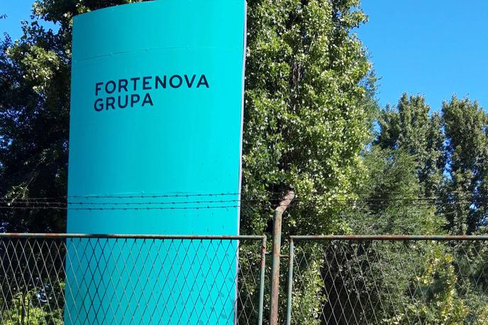 Fortenova | Fortenova je imela najprej v lasti 89,11 odstotka Mercatorja, po skupščini septembra lani je delež povečala na 90,005 odstotka, na skupščini decembra lani pa je sprejela sklep o iztisnitvi manjšinskih delničarjev. | Foto STA