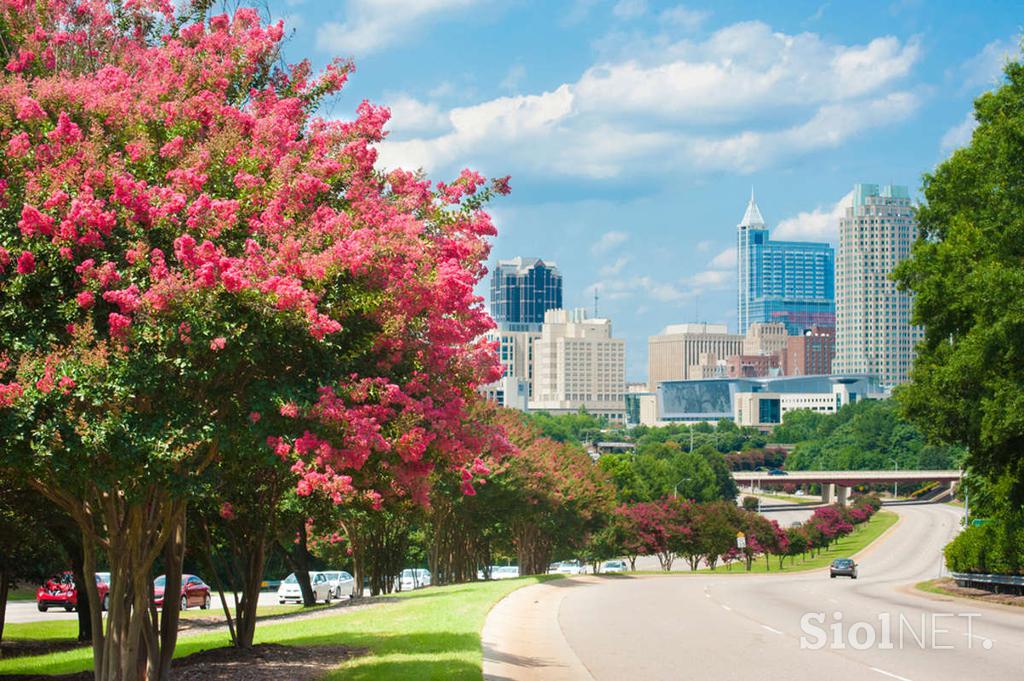 Raleigh (Foto_Air France)_1200