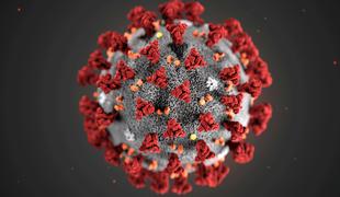 Po svetu kroži osem vrst novega koronavirusa