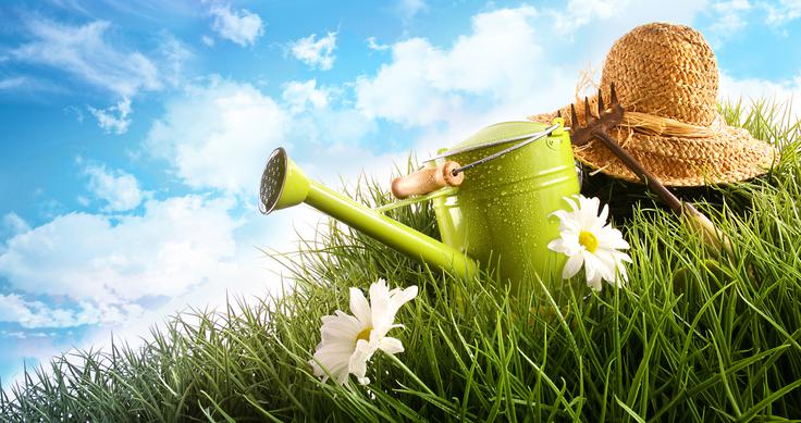 trava, vrt, zalivanje trava, vrt, zalivanje | Foto: Thinkstock