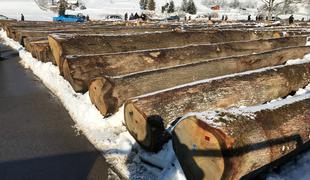 Smrt med rezanjem drv: nanj so se zrušili hlodi