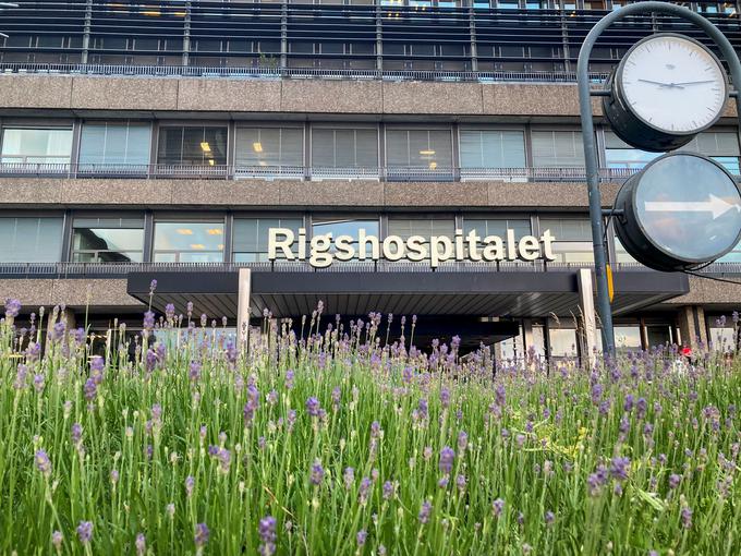To je bolnišnica, v katero so odpeljali Christiana Eriksena med srečanjem v Köbenhavnu. | Foto: Reuters
