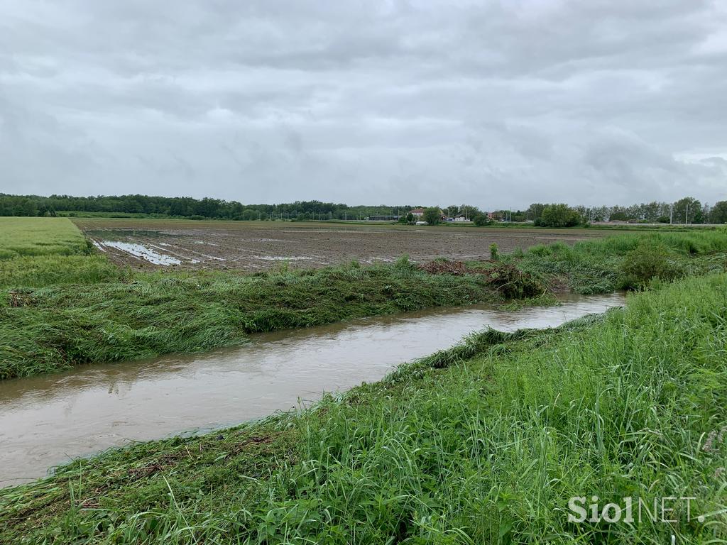 Slovenska Bistrica poplave njive