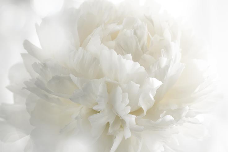 jesenske barve | Foto: Shutterstock