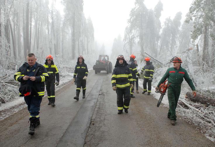 Gasilci, civilna zaščita in druge pristojne službe so imeli ogromno dela z odstranjevanjem podrtih dreves, ki so ovirala promet in v nekaterih primerih tudi ogrožala življenja. | Foto: STA