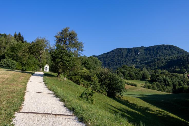 Sredi vzpona gremo kratek čas znova po cesti. Cilj je na vidiku: koča je na levi strani grebena, Malič na na desni. | Foto: Matej Podgoršek