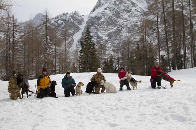 Na vaji reševanja iz lavin je na Vršičo sodelovalo 25 vodnikov in njihovih reševalnih psov.  | Foto: Matija Lepoša