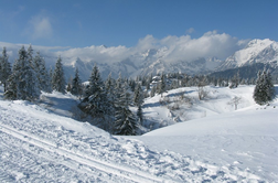 Velika planina? Kot bi tekel po razglednici.