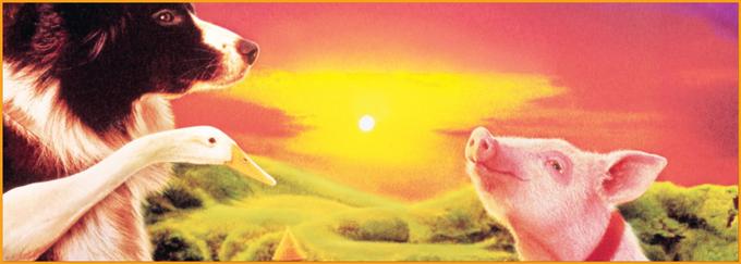 Izjemno priljubljena zgodba o prašičku, ki si želi postati odličen pastir, čeprav druge živali in tudi prijazen, a konvencionalen kmet Hoggett (James Cromwell) dvomijo o njem. Babe je bil nominiran za sedem oskarjev, tudi v kategoriji najboljši film leta, prejel pa je kipec za najboljše posebne učinke. • V četrtek, 22. 10., ob 20. uri na Planet PLUS.* | Foto: 